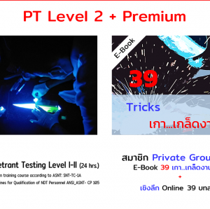 PT Level 2 + Premium